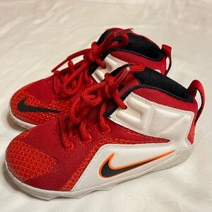 Nike lebron 12 heart of a lion